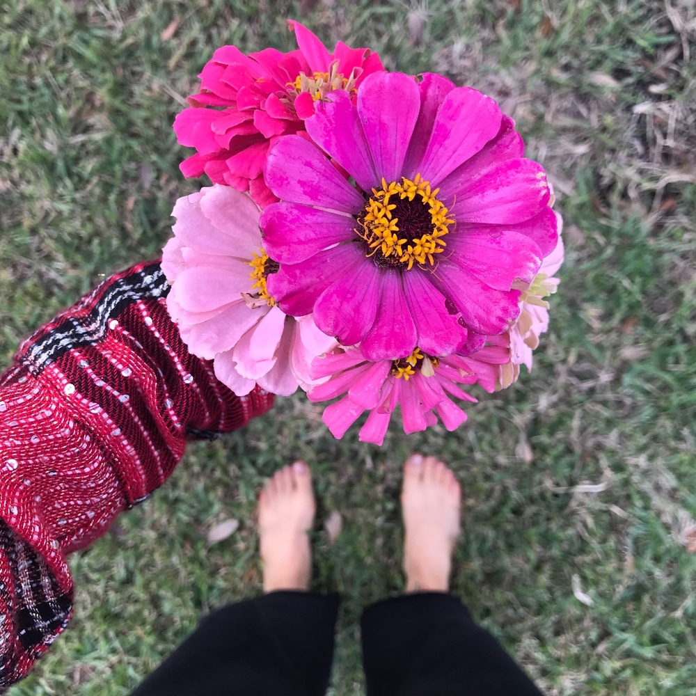 Meet your Posher, Kate